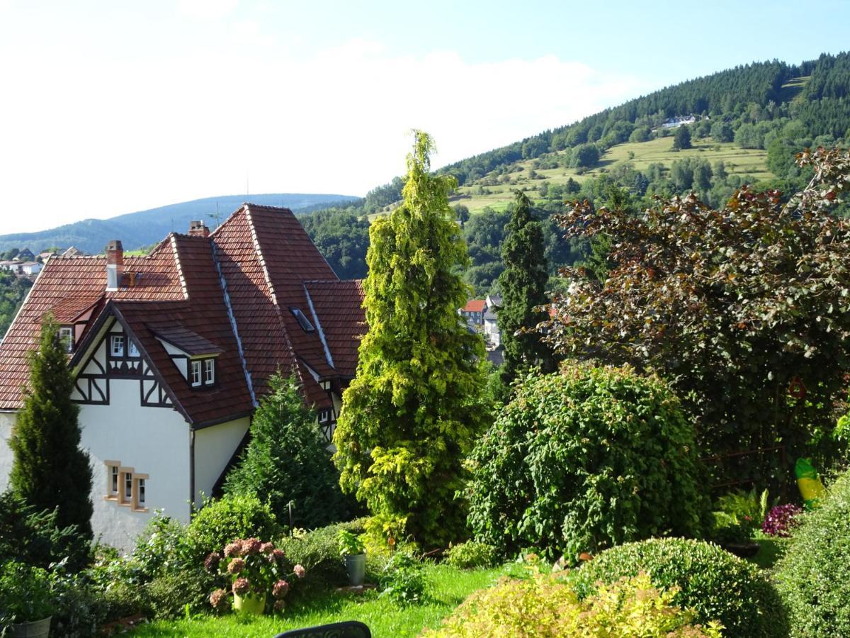 Ferienwohnung Panorama Rauenstein Екстериор снимка