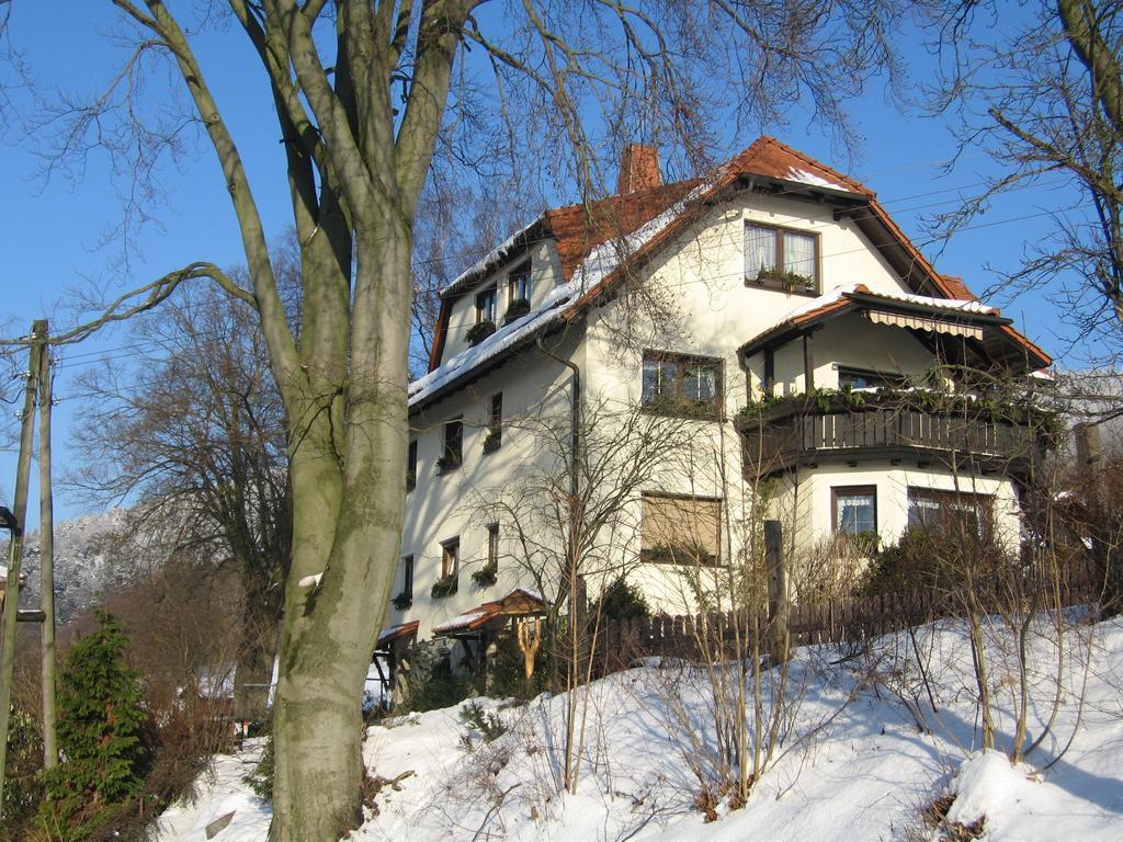 Ferienwohnung Panorama Rauenstein Екстериор снимка