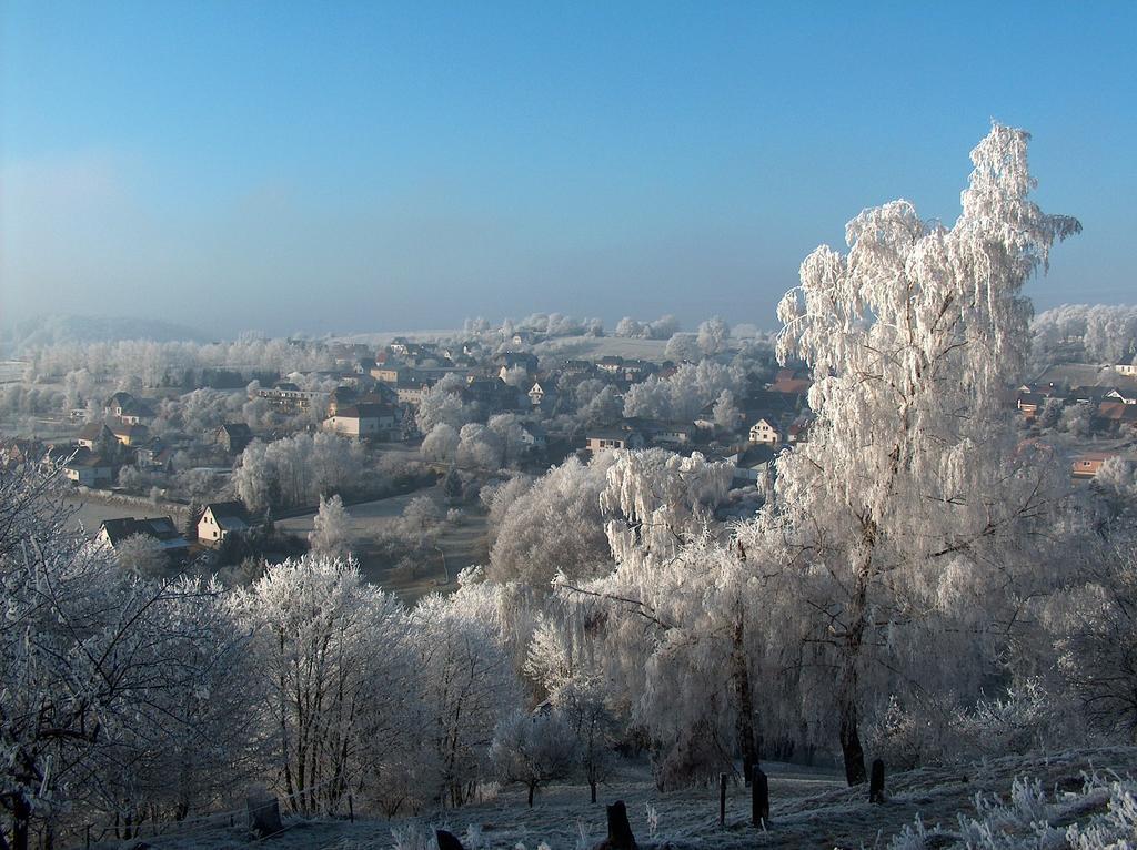 Ferienwohnung Panorama Rauenstein Екстериор снимка