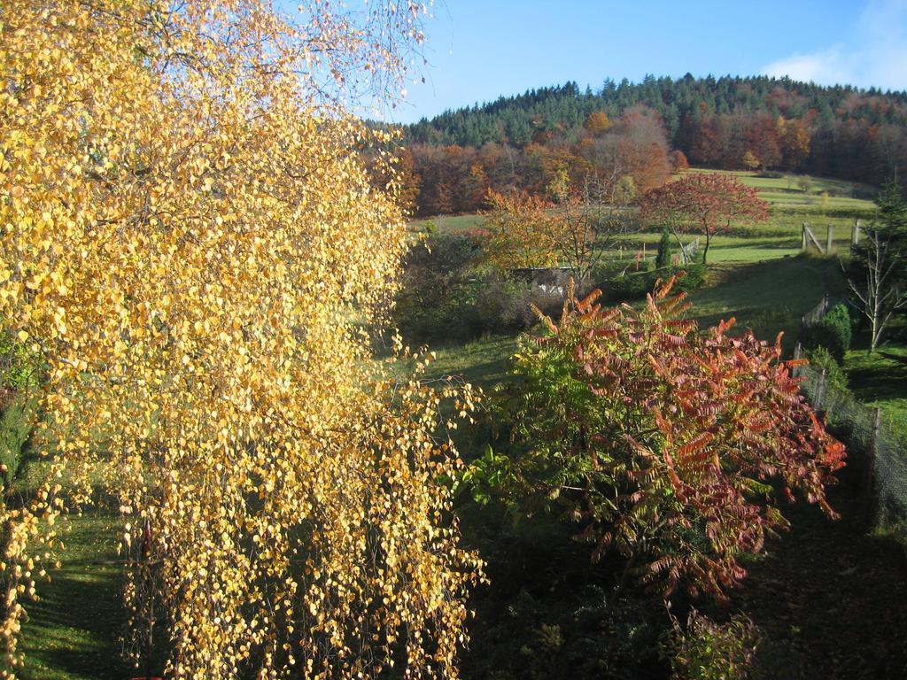 Ferienwohnung Panorama Rauenstein Екстериор снимка