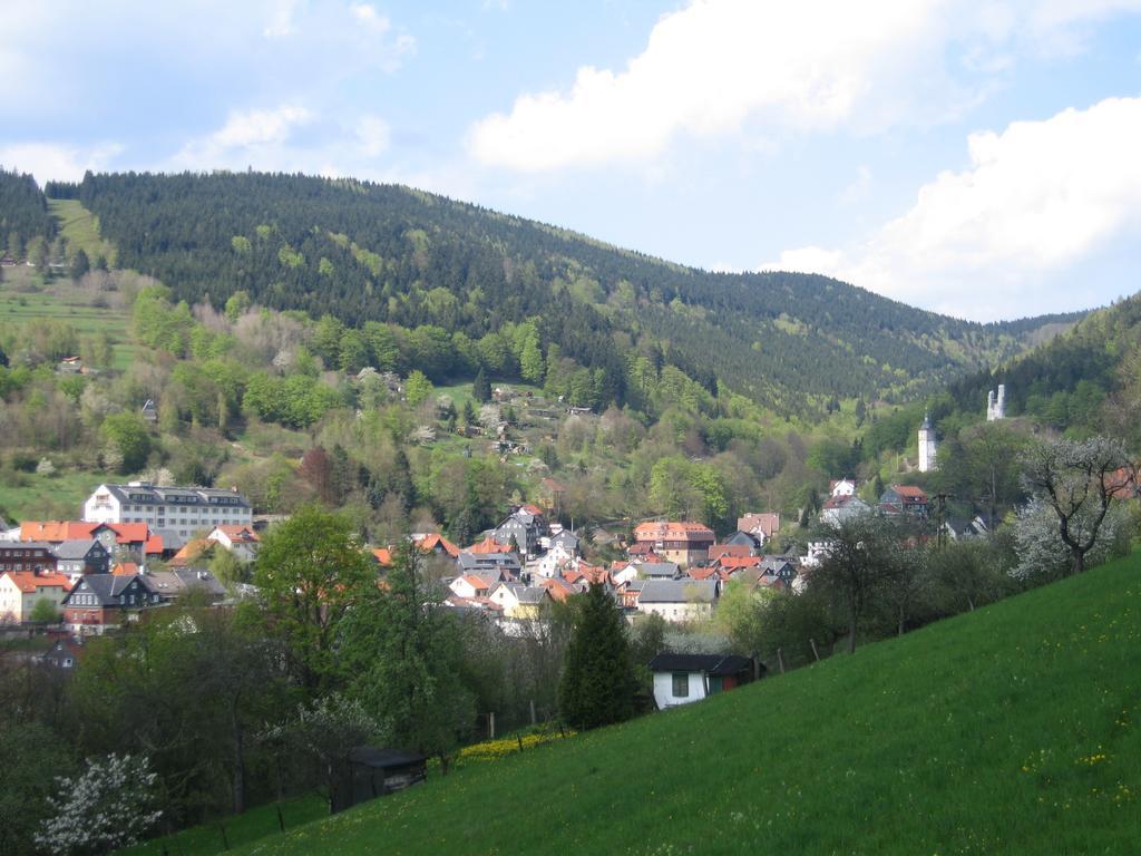 Ferienwohnung Panorama Rauenstein Екстериор снимка