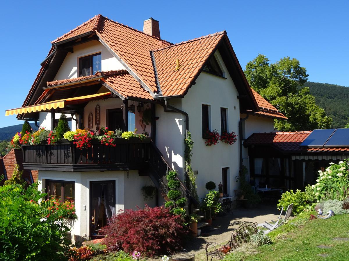 Ferienwohnung Panorama Rauenstein Екстериор снимка